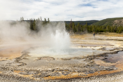 Old Faithful Geyser Area Yellowstone 2024